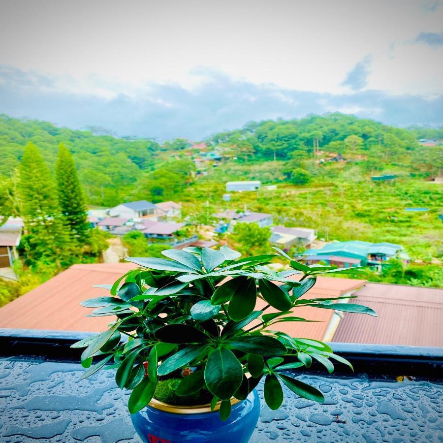 Pine Forest House Dalat 외부 사진